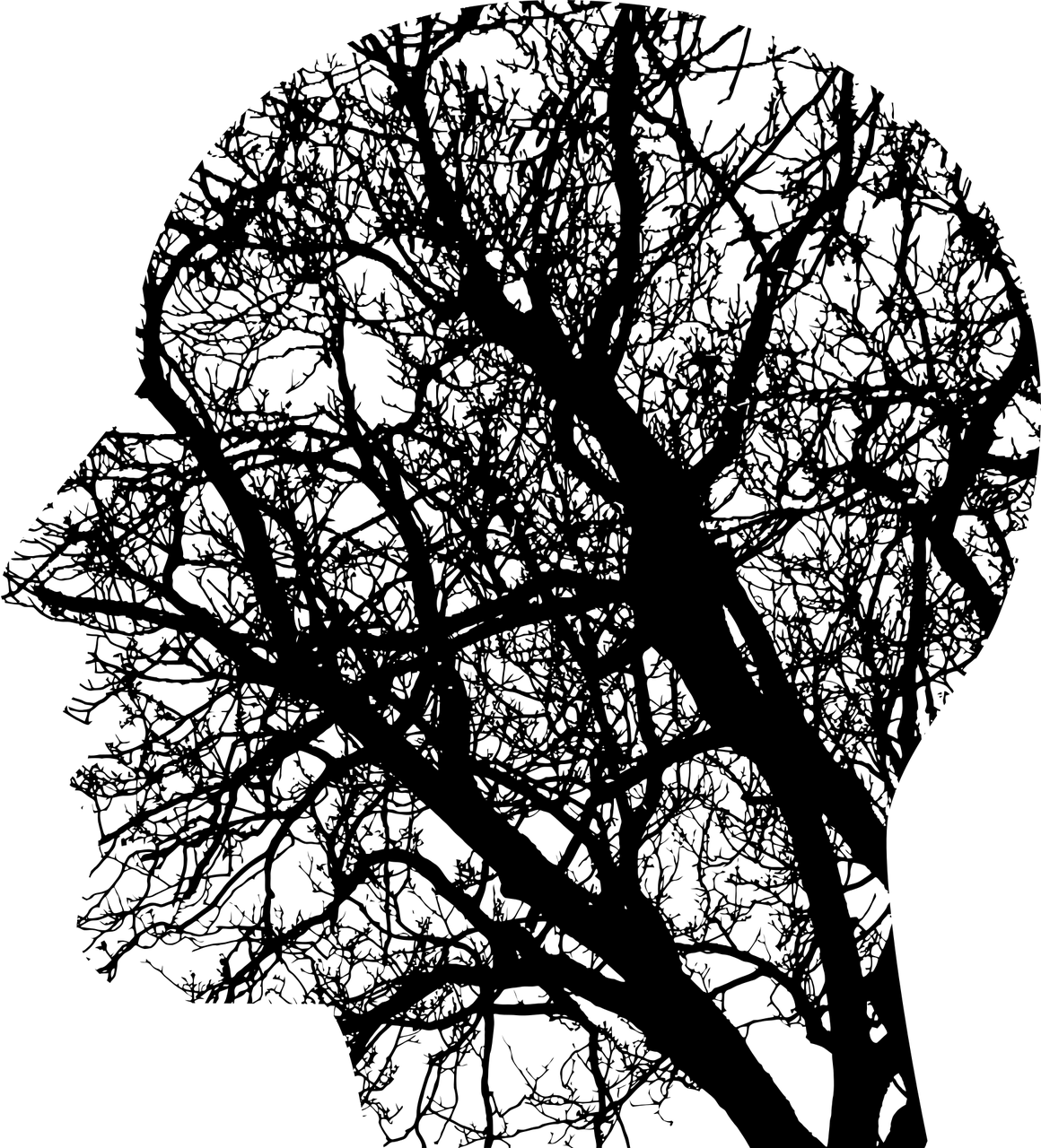 unknown-1769656_1280